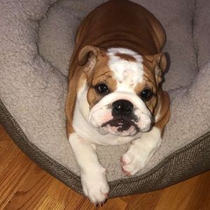 Meet your Posher, Kevin